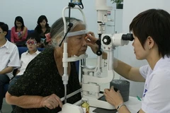 (Ảnh minh họa: Dương Ngọc/TTXVN)