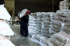 Bốc xếp gạo vừa chế biến sau khi mua tạm trữ tại Công ty Cổ phần Lương thực Hậu Giang. (Ảnh: Duy Khương/TTXVN)