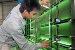 Hoạt động tại Khu công nghiệp Thạch Thất, huyện Quốc Oai (Hà Nội). (Ảnh: Danh Lam/TTXVN)