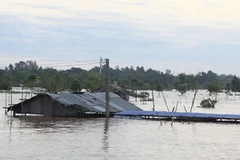 Nước lũ tại Đồng Tháp. (Ảnh: Duy Khương/TTXVN)