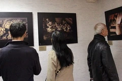 Khách thăm triển lãm. (Ảnh: Lê Hà-Nguyễn Tuyên/Vietnam+)