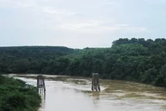 Ảnh minh họa. (Nguồn: Internet)