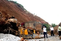 Ảnh minh họa. (Nguồn: Internet)