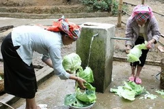 (Ảnh minh họa: Anh Tuấn/TTXVN)