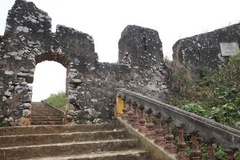 (Ảnh minh họa: An Đăng/TTXVN)