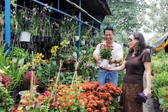 Khách hàng mua hoa tại quận Gò Vấp. (Ảnh: Kim Phương/TTXVN)