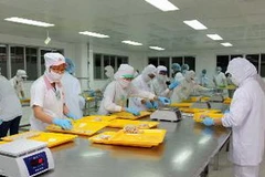 Chế biến thực phẩm tại Công ty CP Chế biến xuất khẩu Cầu Tre (Tổng Công ty Thương mại Sài Gòn). (Ảnh: Thanh Vũ/TTXVN)