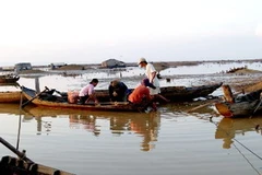 Đánh cá trên hồ Trị An. (Ảnh: Vietnamnet)