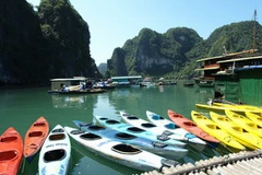 Một góc Vịnh Hạ Long. (Ảnh: Tiến Dũng/TTXVN)