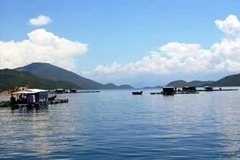 Ảnh chỉ có tính minh họa. (Nguồn: Internet)