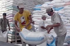 Gạo xuất khẩu tại Xí nghiệp chế biến lương thực Cầu Kè, huyện Cầu Kè, tỉnh Trà Vinh. (Ảnh: Duy Khương/TTXVN)