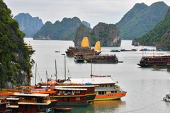 Vịnh Hạ Long. (Ảnh: Trọng Đạt/TTXVN)