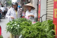 Ảnh minh họa. (Nguồn: Internet)