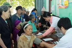 (Ảnh minh họa: Đình Trân/TTXVN)