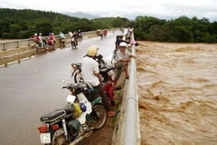 Ảnh minh họa. (Nguồn: Internet)