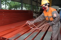 (Ảnh: Trần Việt/TTXVN)