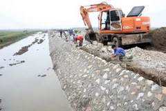 (Ảnh minh họa: Đình Huệ/TTXVN)