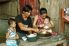 (Ảnh minh họa: Dương Ngọc/TTXVN)