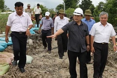 Phó Thủ tướng Hoàng Trung Hải thị sát tuyến đê bị vỡ tại An Giang. (Ảnh: Tràng Dương/TTXVN)