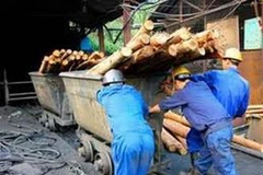 Ảnh minh họa. (Nguồn: Internet)