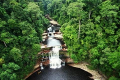 Khu bảo tồn Maliau Basin. (Nguồn: Internet)