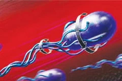 Ảnh minh họa. (Nguồn: Internet)