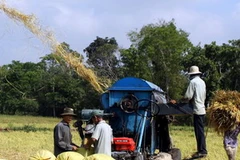 Hiệp định 3 bên để Việt Nam chia sẻ những kinh nghiệm quý báu trong lĩnh vực nông nghiệp với các quốc gia thành viên khác. (Ảnh: Thanh Vũ/TTXVN)