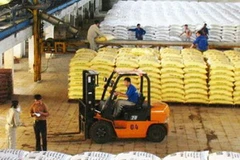 Bốc xếp vận chuyển sản phẩm vào kho ở Công ty phân đạm Hà Bắc, Bắc Giang. (Nguồn: Nhandan.org.vn)