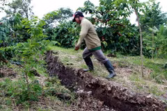 Một vị trí đất bị trồi sụt cao khoảng nửa mét. (Ảnh: Nguyễn Dũng/Vietnam+)