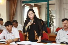 Một phiên thảo luận của đại biểu Quốc hội. (Ảnh: Doãn Tấn/TTXVN)