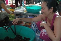 Ảnh minh họa. (Nguồn: Internet)