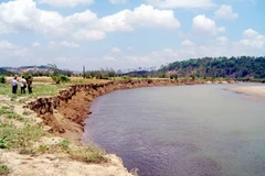 Sạt lở sông Krông Nô. (Nguồn: Internet)