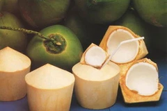 Ảnh minh họa. (Nguồn: Internet)