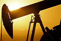 (Ảnh minh họa: Internet)