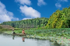 Ảnh minh họa. (Nguồn: Internet)