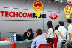 (Ảnh: Hữu Duyên/Vietnam+)