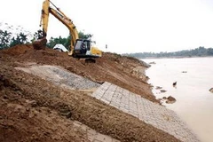 (Ảnh minh họa: Trần Lê Lâm/TTXVN)