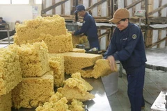 (Ảnh minh họa: Phương Hoa/TTXVN)