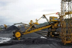 (Ảnh minh họa: Kim Phương/TTXVN)