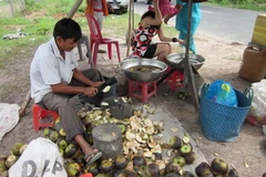 Quả thốt nốt dùng để làm đường. (Nguồn: VH/Vietnam+)