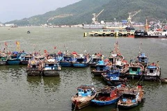 Tàu thuyền của ngư dân Đà Nẵng vào neo đậu an toàn. (Ảnh: Trần Lê Lâm/TTXVN)