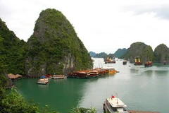 Phong cảnh Vịnh Hạ Long. (Ảnh: Trọng Đạt/TTXVN)