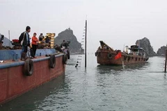 Ảnh minh họa. (Nguồn: Internet)