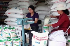 (Ảnh minh họa: Đình Huệ/TTXVN)