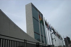 Ảnh minh họa. (Nguồn: Internet)