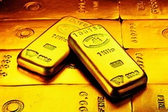 Ảnh minh họa. (Nguồn: Internet)