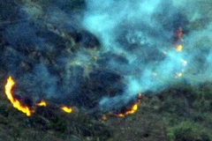 Hiện trường vụ cháy rừng. (Ảnh: Lục Văn Toán/TTXVN)