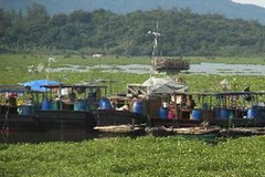 Tàu thuyền về neo đậu trú bão an toàn tại huyện đảo Cô Tô. Ảnh: Thu Hằng, Nguyễn Thu-TTXVN phát