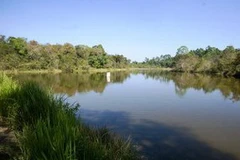 Khu Dự trữ sinh quyển Đồng Nai. (Nguồn: dongnai.gov.vn)