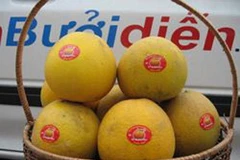 Bưởi diễn. (Nguồn: Internet)